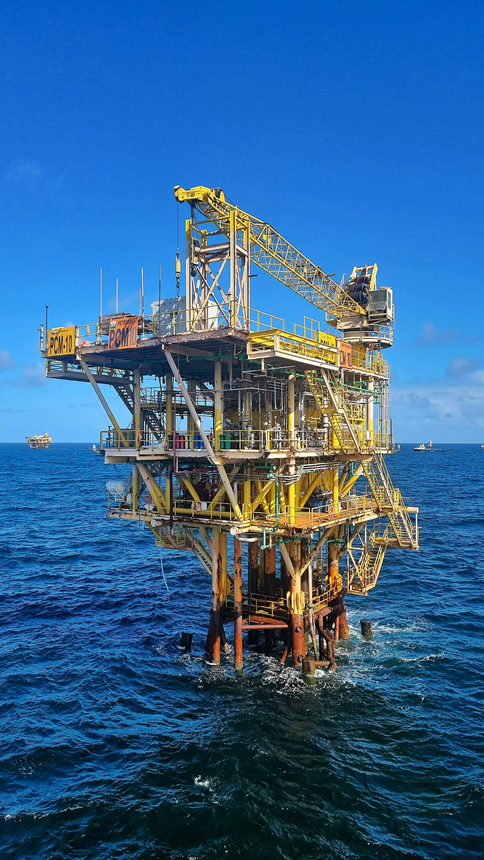Professional Engineering Capability